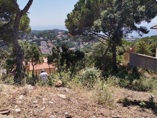 Terreno, Lloret de Mar