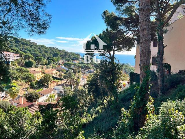 Terreno, Lloret de Mar