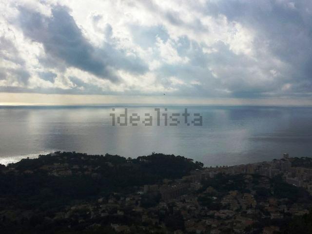 Terreno, Lloret de Mar