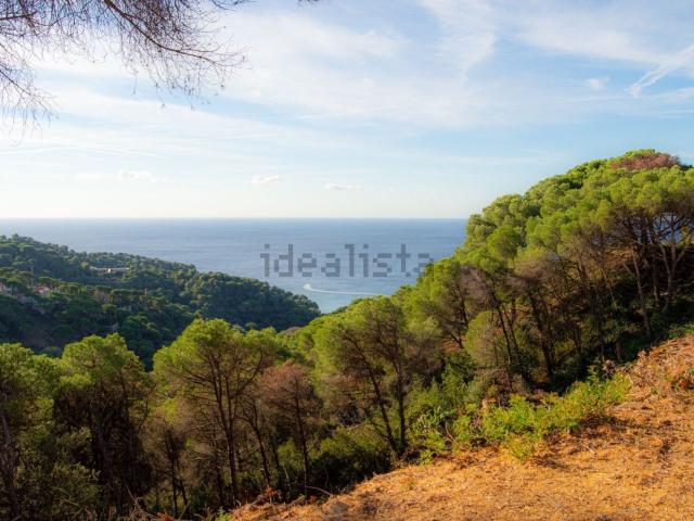 Terreno, Lloret de Mar