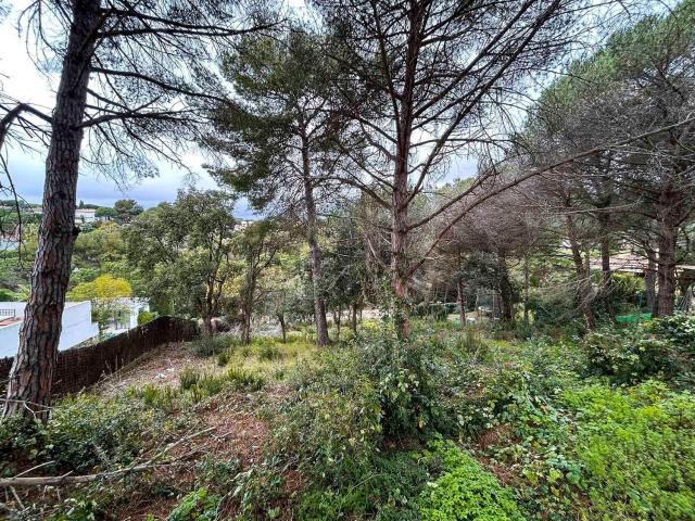 Terreno, Lloret de Mar
