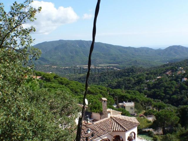 Terreno, Lloret de Mar