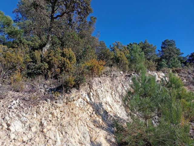 Terreno, Lloret Residencial, Lloret de Mar