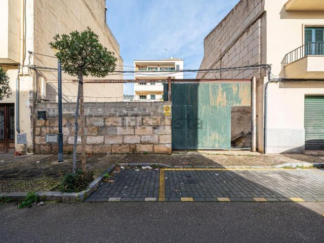 Terreno, Lloseta