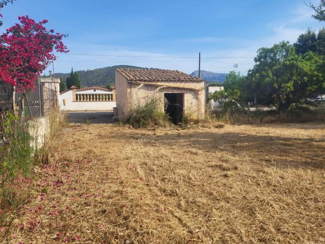 Terreno, Lloseta
