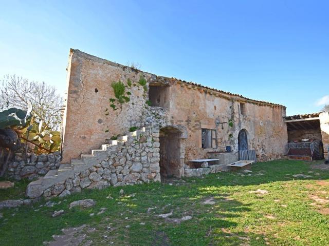 Terreno, Llubi