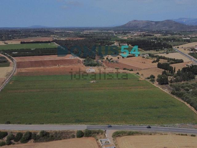 Terreno, Llubi