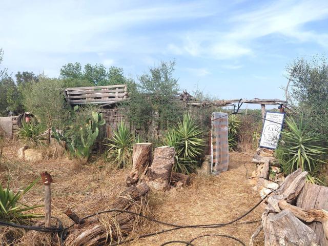 Terreno, Llubi