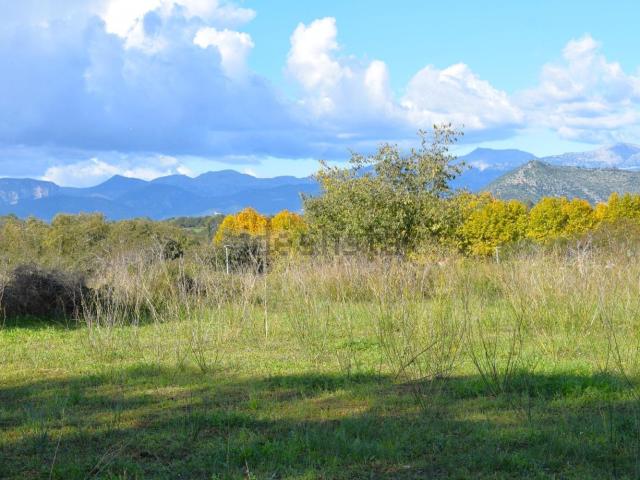 Terreno, Llubi