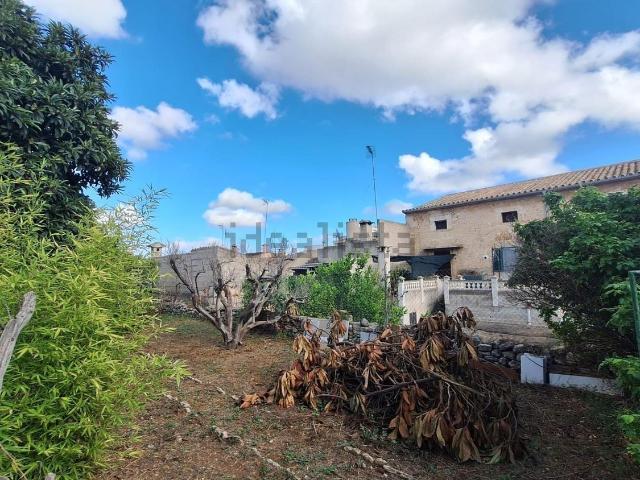 Terreno, Llubi
