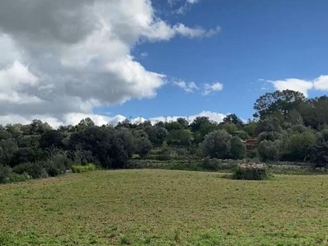 Terreno, Llubi