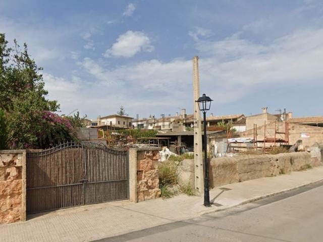 Terreno, Llubi