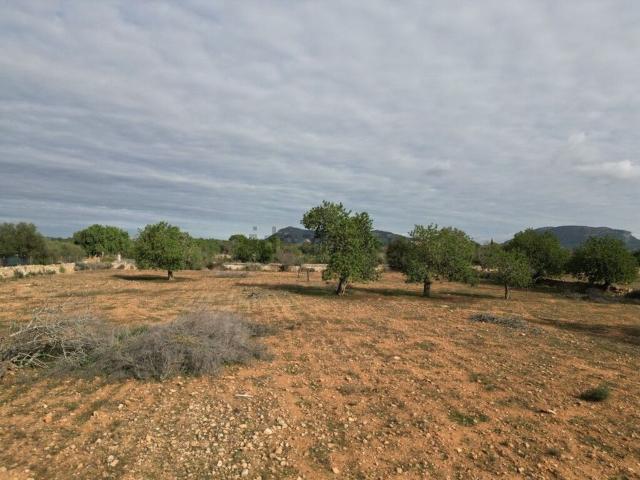 Terreno, Llucmajor