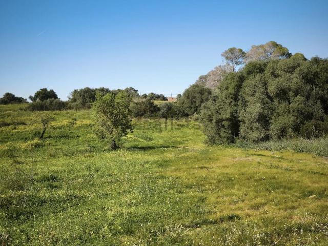 Terreno, Llucmajor