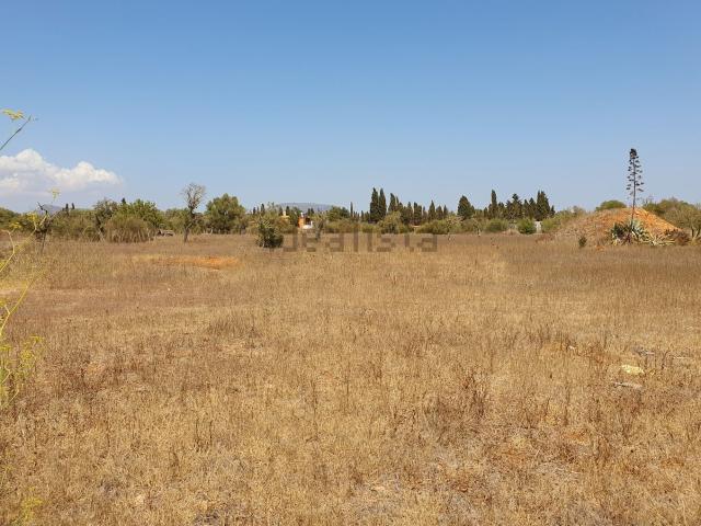 Terreno, Llucmajor