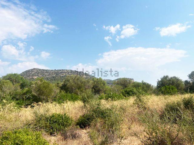 Terreno, Llucmajor