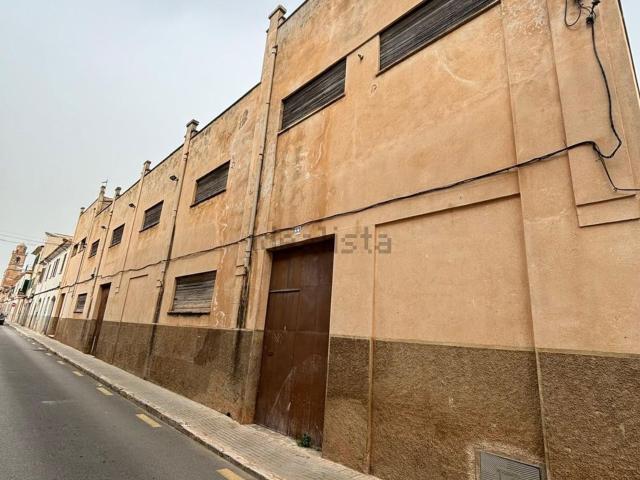 Terreno, Llucmajor