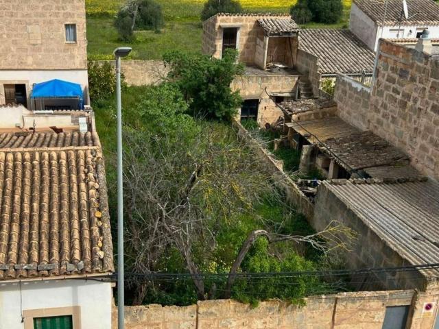 Terreno, Llucmajor