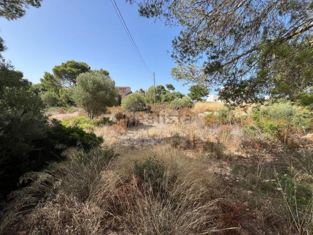 Terreno, Llucmajor