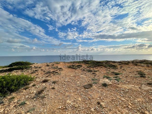Terreno, Llucmajor
