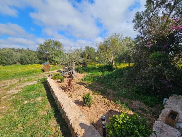 Terreno, Llucmajor