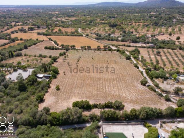 Terreno, Llucmajor