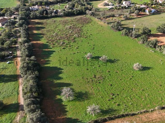 Terreno, Llucmajor