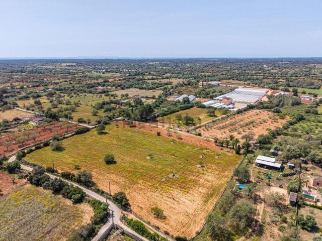 Terreno, Llucmajor