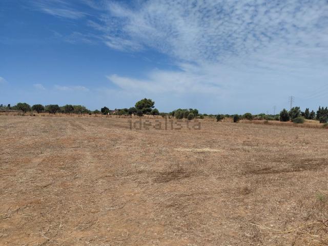 Terreno, Llucmajor