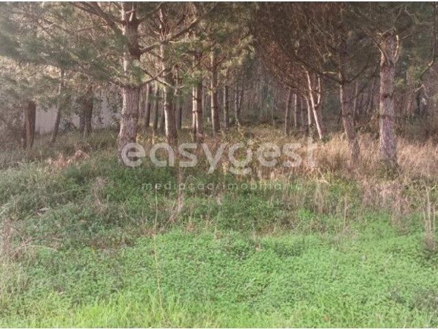 Terreno localizado em zona urbana com viabilidade para construo d.