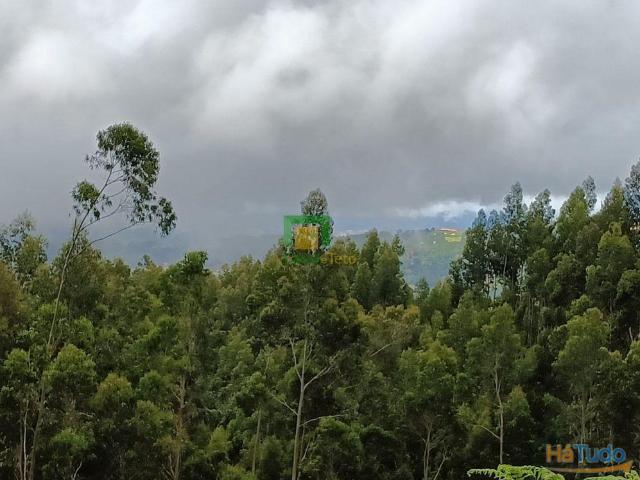 Terreno localizado no Santo da Serra | 26083783167