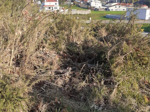 Terreno, Gião