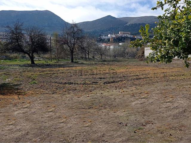 Terreno, Loja