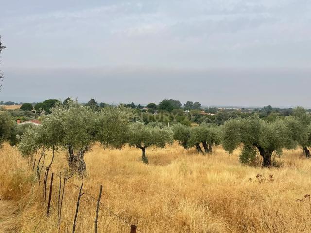 Terreno Los Castaños en Millanes, Cáceres, Extremadura