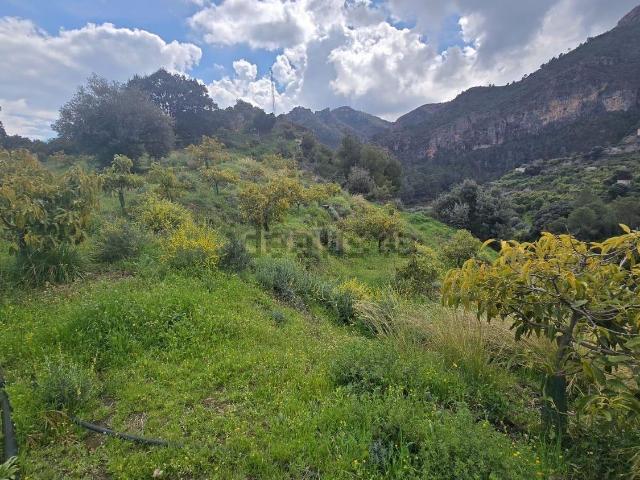 Terreno, Los Guajares