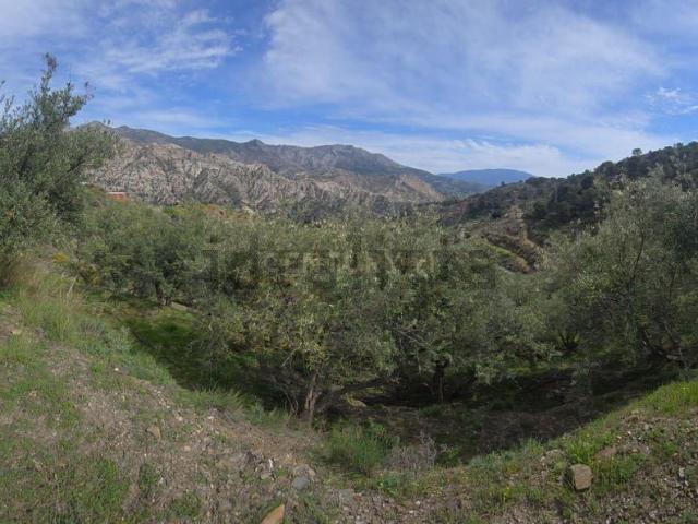 Terreno, Los Guajares