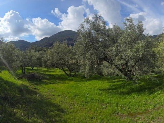 Terreno, Los Guajares