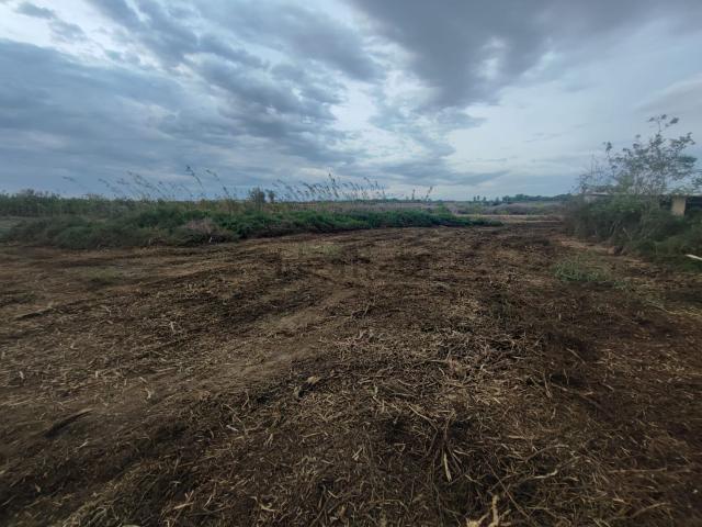Terreno, Los Montesinos