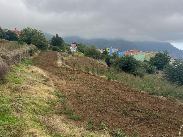 Terreno, Los Realejos