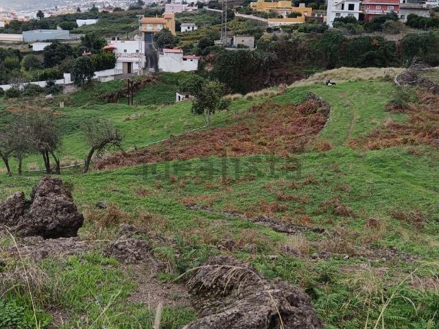 Terreno, Los Realejos