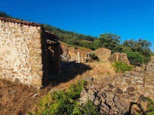 Terreno, Losar de la Vera