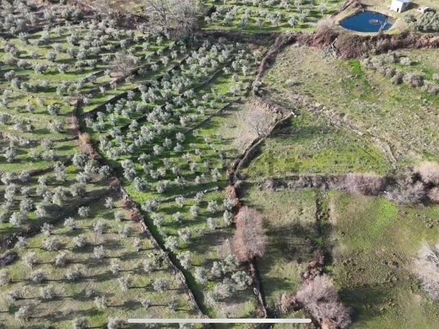 Terreno, Losar de la Vera