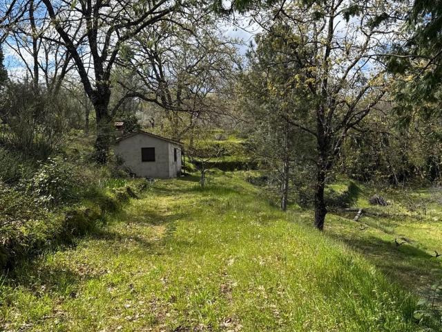 Terreno, Losar de la Vera
