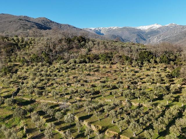 Terreno, Losar de la Vera