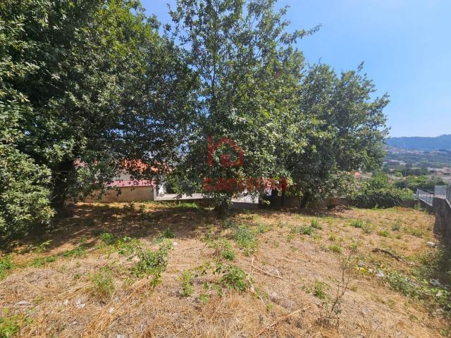 Terreno, Lordelo