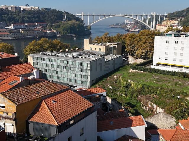 Terreno, Lordelo do Ouro e Massarelos
