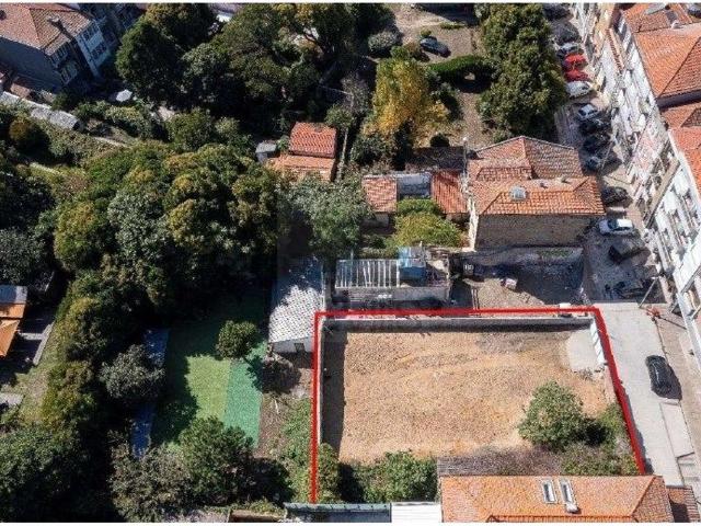 Terreno, Lordelo do Ouro e Massarelos