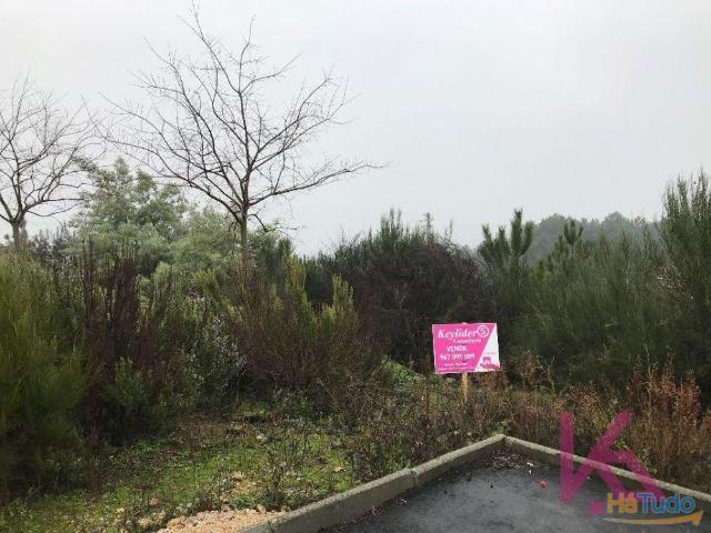 Terreno Lote 15 Venda | 26061118355