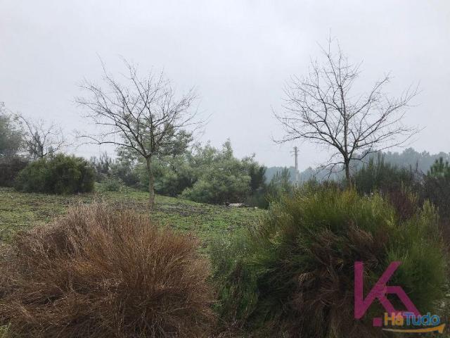 Terreno Lote 17 Venda | 26061118354