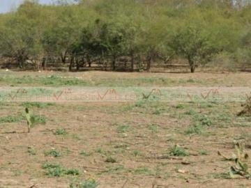 Terreno / Lote en venta en La Petaca